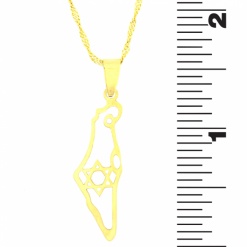 Gold-Tone-Israel-Outline-Necklace-821030-4
