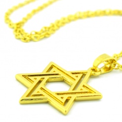 Star-of-David-Gold-Plated-Pendant-Necklace-821089-1